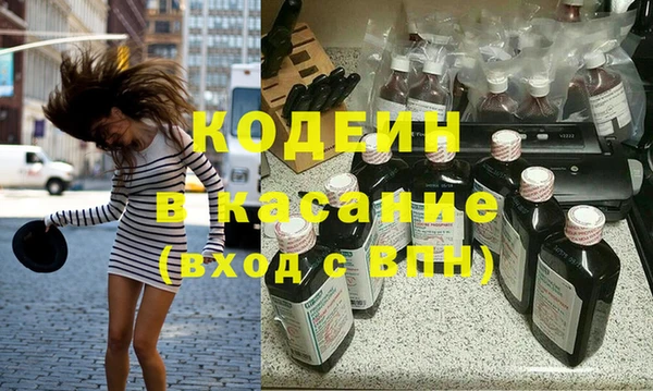молекула духа Арсеньев