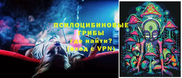 молекула духа Арсеньев