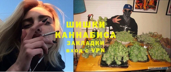 молекула духа Арсеньев