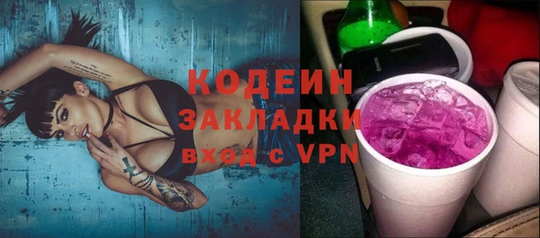 молекула духа Арсеньев