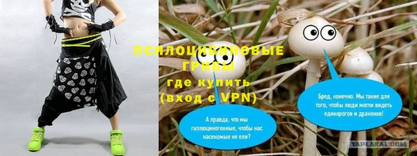 молекула духа Арсеньев